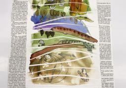 Fotogalerie Mixed media II s Jitkou Hruškovou - galerie