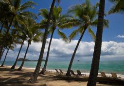 Pláž Palm Cove