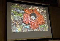 Fotogalerie Marek Kovář - Borneo - fotogalerie