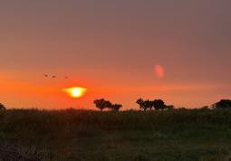 Fotogalerie Ladislav Zibura: S mámou a tátou do Afriky