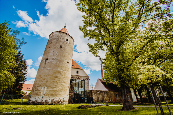 Vstup do knihovny a jeho dominanta věž Hláska při pohledu z parku